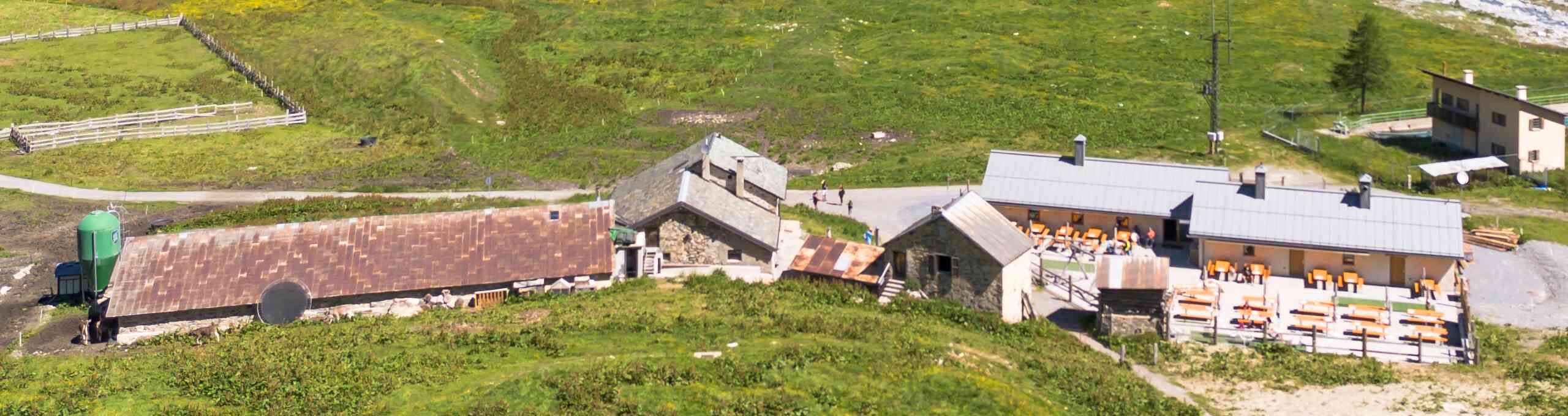 MUNGITURA ,DEGUSTAZIONE E VISITA ALLA MALGA  ALPE VAGO