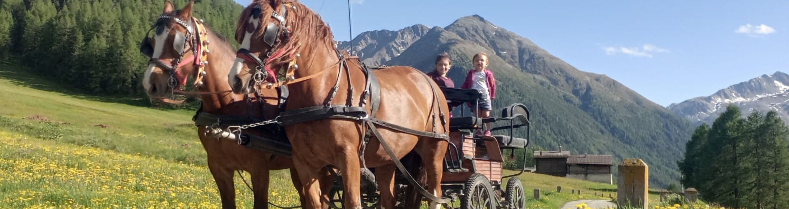 LIVIGNO BY CARRIAGE